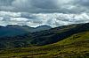IMG_7419.jpg