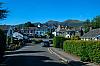 IMG_7449.jpg