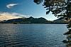 IMG_7459.jpg