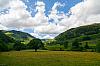 IMG_7475.jpg