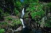 IMG_7485.jpg